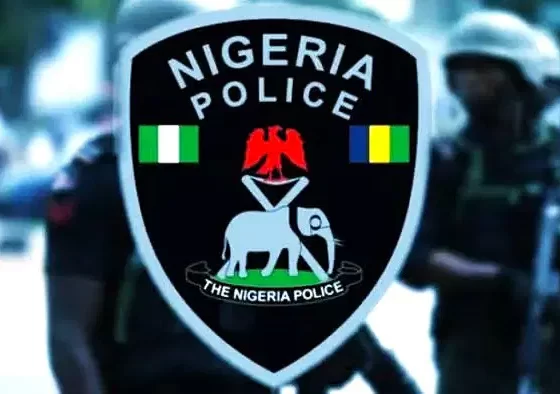 Delta Police Arrest Over 270 Suspects in Warri, Ughelli Raids