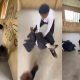Edo School expels students over viral bullying video, Police launch investigation