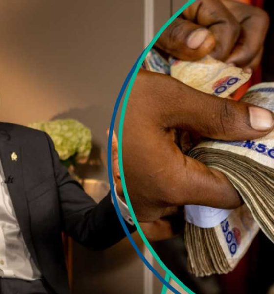 Portfolio investments drive Nigeria’s $6.44bn Q4 2025 capital inflows, analysts react