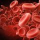 New study reveals why COVID-19 vaccines caused rare blood clots