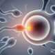 Study reveals extended sexual abstinence may reduce sperm quality