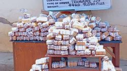 NDLEA intercepts 10,000 Captagon pills in Kwara, seizes millions of Opioids nationwide