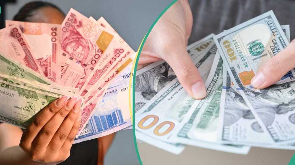 Naira hits two-month high at N1,341.99/$ amid improved market sentiment