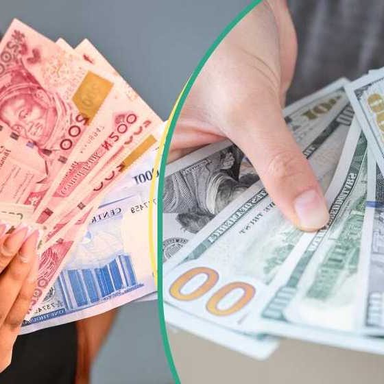 Naira hits two-month high at N1,341.99/$ amid improved market sentiment