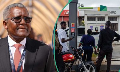 Dangote Refinery slashes petrol price by N75 as global crude oil market cools