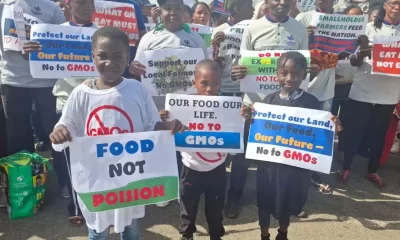 GMO foods linked to increased risk of health problems in children