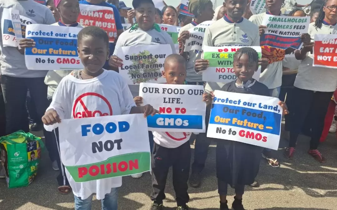 GMO foods linked to increased risk of health problems in children