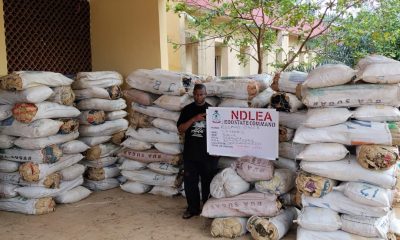 NDLEA smashes drug network, intercepts cocaine hidden in export consignment