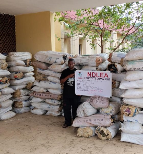 NDLEA smashes drug network, intercepts cocaine hidden in export consignment