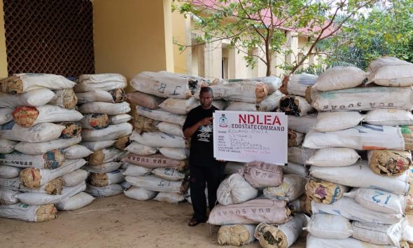 NDLEA smashes drug network, intercepts cocaine hidden in export consignment