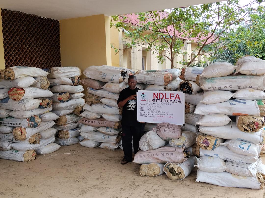 NDLEA smashes drug network, intercepts cocaine hidden in export consignment