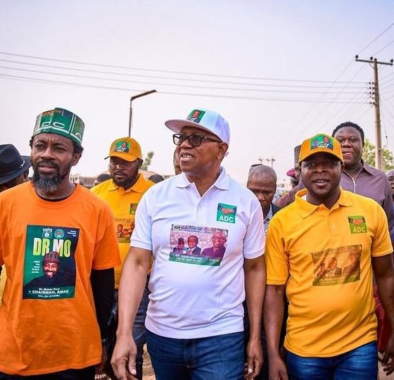APC plotting to frustrate Peter Obi’s 2027 ambition — Obidient Movement