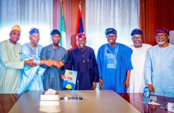 Tinubu backs Hamzat   as Lagos APC leaders rally behind consensus candidate