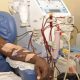 Doctors raise alarm as kidney failure cases surge among young Nigerian men