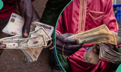 Naira slides to N1,369/$ as FX pressures persist despite weaker global Dollar