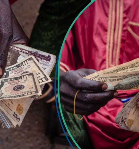 Naira slides to N1,369/$ as FX pressures persist despite weaker global Dollar