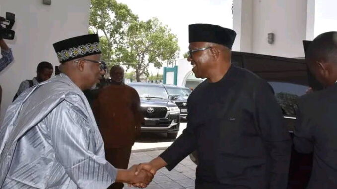 Peter Obi meets Bauchi Governor Bala Mohammed amid defection speculations