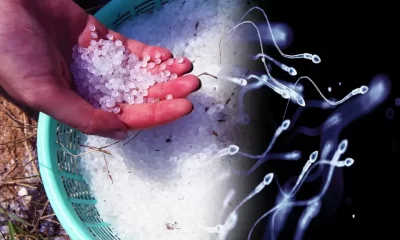 Everyday plastics linked to fertility decline, health risks, says scientist