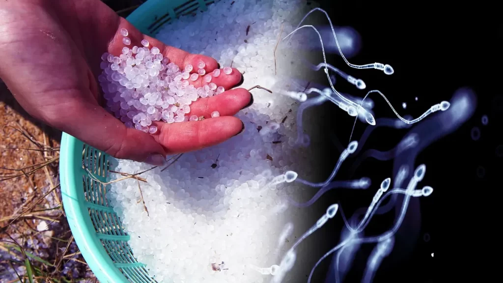Everyday plastics linked to fertility decline, health risks, says scientist