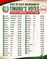 APC primary figures: Genuine grassroots support or party machinery at work?