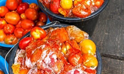 LASG warns residents against consuming spoiled tomatoes amid rising prices