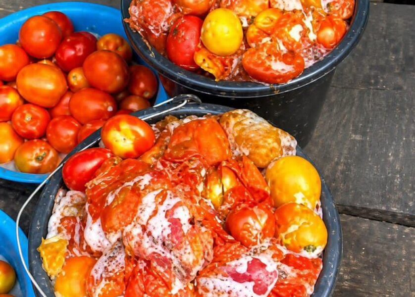 LASG warns residents against consuming spoiled tomatoes amid rising prices
