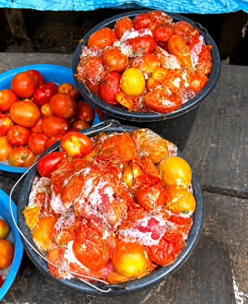 LASG warns residents against consuming spoiled tomatoes amid rising prices