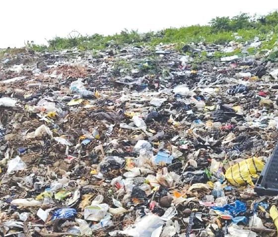 Overflowing dumpsite in Ifo sparks health fears, cuts off access to 80 Ogun communities