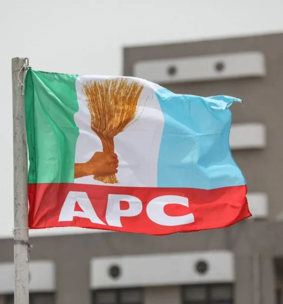 APC Presidential primary sparks rigging concerns after viral vote-count video raises questions (Video)
