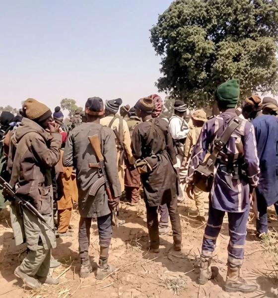 Full list of 46 abducted teachers, pupils released as panic deepens in Oyo communities