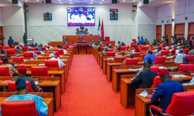 Nigerian Senate reverses standing orders amendment over constitutional concerns