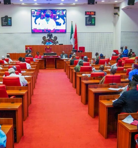 Nigerian Senate reverses standing orders amendment over constitutional concerns