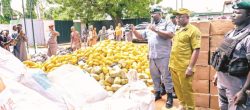 How Ogun Customs is tackling drug, rice, fuel smugglers at Idiroko border