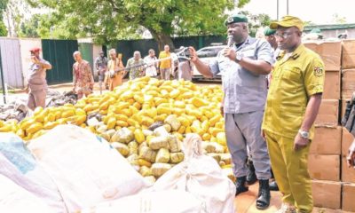 How Ogun Customs is tackling drug, rice, fuel smugglers at Idiroko border