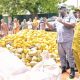 How Ogun Customs is tackling drug, rice, fuel smugglers at Idiroko border
