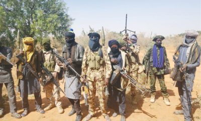 30,000 armed Fulani militants operating in Nigeria—Report