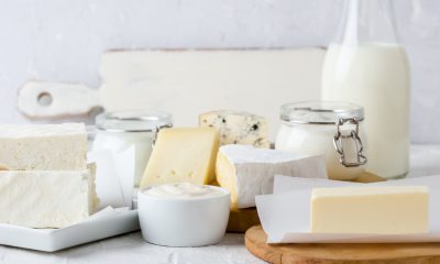 New Study raises safety concerns over synthetic milk precision-fermented dairy products
