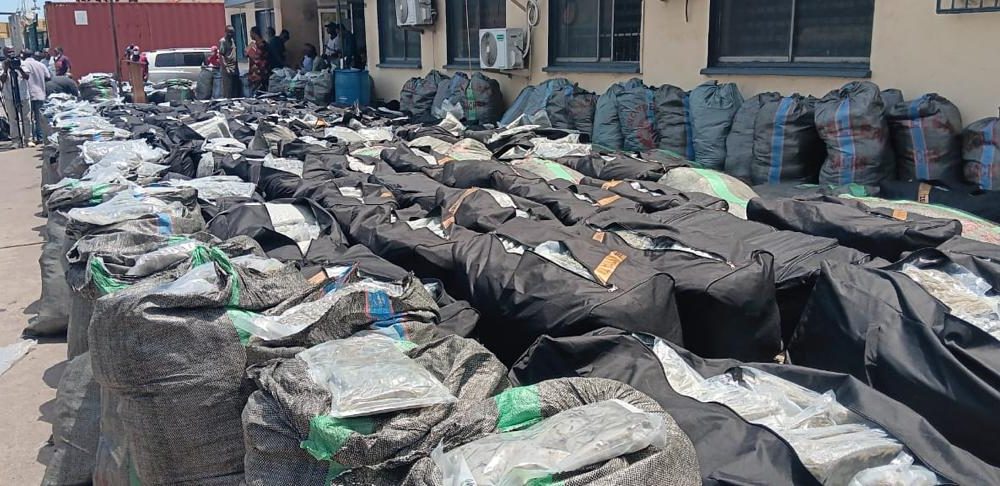 NDLEA seizes N10.4bn Canadian ‘loud’ shipment at Lagos Port, vows crackdown on syndicates