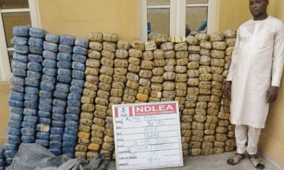 NDLEA uncovers UK, Australia-bound drug shipments, seizes ammunition hidden in Garri  (Video)