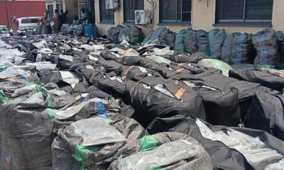 NDLEA seizes N10.4bn Canadian ‘loud’ shipment at Lagos Port, vows crackdown on syndicates