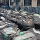 NDLEA seizes N10.4bn Canadian ‘loud’ shipment at Lagos Port, vows crackdown on syndicates