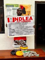 NDLEA uncovers UK, Australia-bound drug shipments, seizes ammunition hidden in Garri  (Video)
