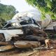 Four NYSC members, soldier die in Adamawa road crash 