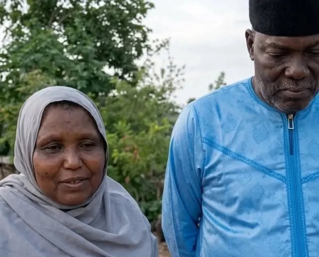 Katsina reveals high-level surveillance behind ex-defence spokesman kidnap