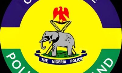 Police arrest 22-year-old woman over alleged fake bandit invasion alert on social media
