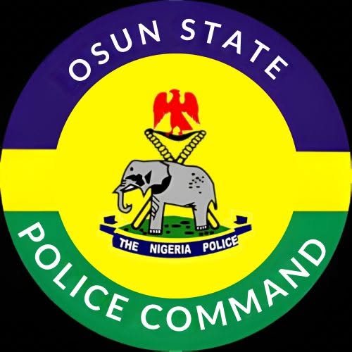 Police arrest 22-year-old woman over alleged fake bandit invasion alert on social media
