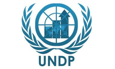 UNDP backs Northeast development plan to tackle poverty, insecurity