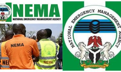 5 Killed, 8 Injured in Niger road crash involving passenger trailer