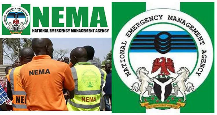 5 Killed, 8 Injured in Niger road crash involving passenger trailer