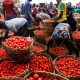 Nigeria slips to bottom of global quality of life rankings amid rising inflation